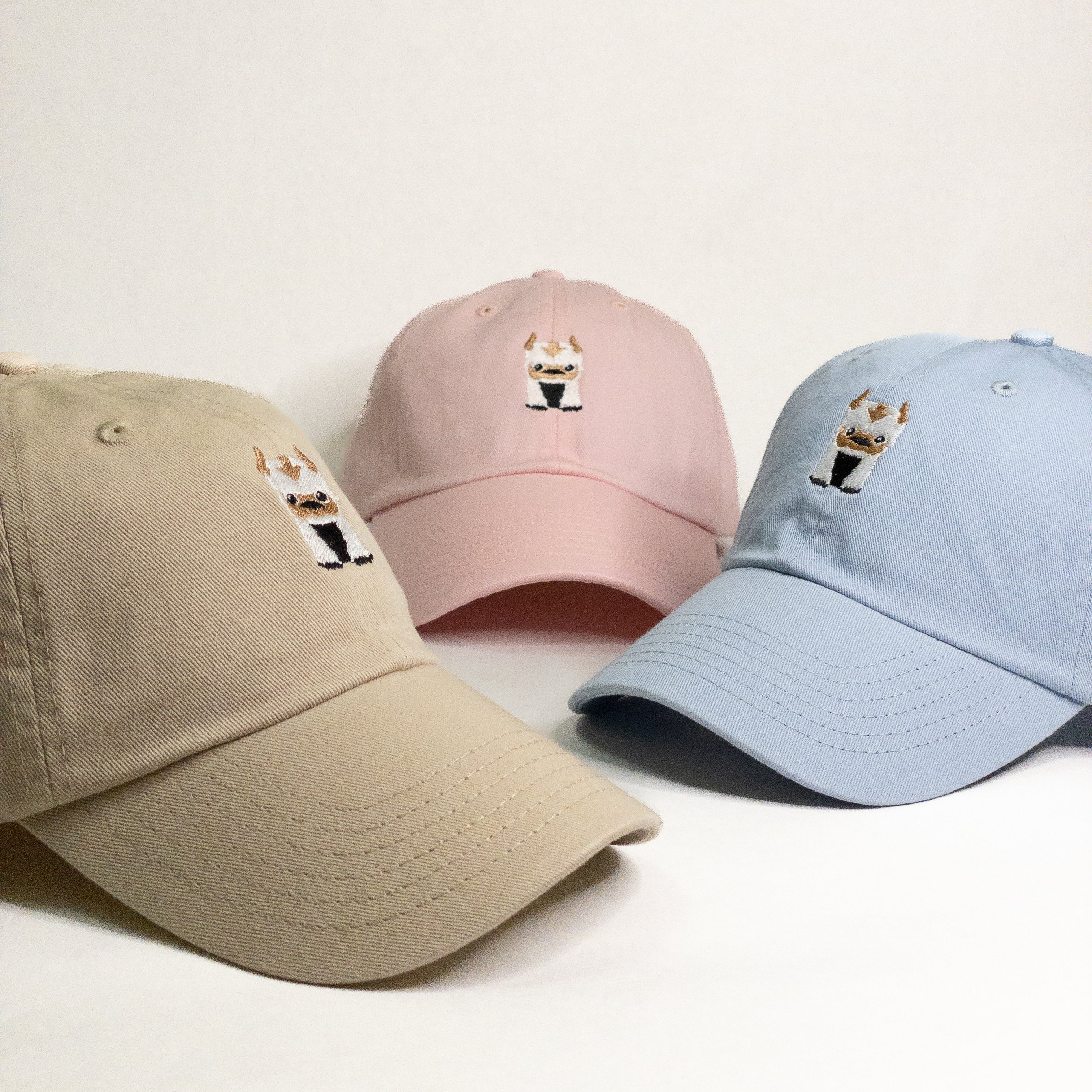ATLA Baby Appa Embroidered Dad Hat