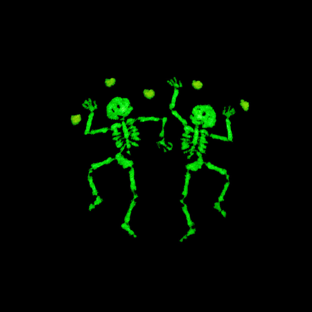 Dancing Skeletons Embroidered Dad Hat